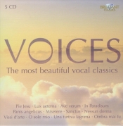 Voices - <br />