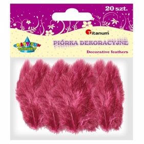 Piórka dekoracyjne 20 sztuk, bordo