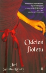 Odcień fioletu