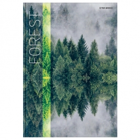 Brulion Top 2000 Basic A5/96k kratka z marginesem, 1 szt