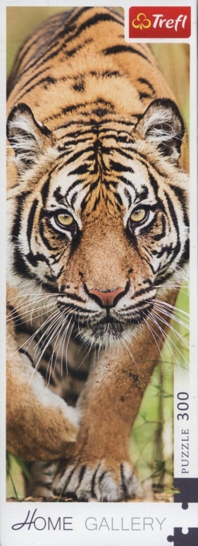 Puzzle 300: Skradający się tygrys (75002)