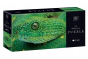 Puzzle 250: Colourful Nature 4 - Snake