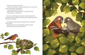 Jutro będę dzielny - Sabine Bohlmann, Emilia Dziubak