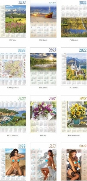 Kalendarz 2022 Jednoplan. MIX 2 (12szt) PL01-12