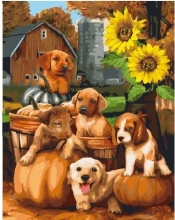 Malowanie po numerach - Psy i słoneczniki (GX21474)