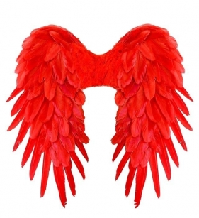 Czerwone skrzydła naturalne pióra