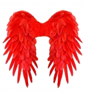 Czerwone skrzydła naturalne pióra