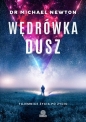 Wędrówka dusz. Tajemnice życia po życiu - Michael Newton