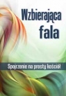 Wzbierająca fala DVD