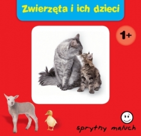 Sprytny maluch Zwierzęta i ich dzieci