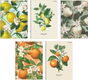 Zeszyt Top 2000: A5, 60k, Kratka - Summer, 1 szt