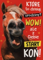 Karnet Które to urodziny K.B6-1705