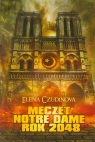 Meczet Notre Dame 2048