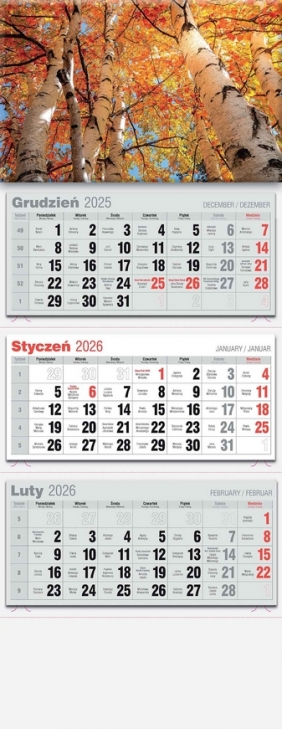 Kalendarz 2026 trójdzielny LUX, 1 szt