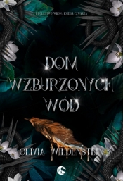 Królestwo Wron. Księga 4. Dom wzburzonych wód - Olivia Wildenstein