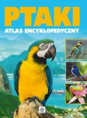 Ptaki atlas encyklopedyczy (Uszkodzona okładka) - Opracowanie zbiorowe