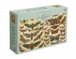 Puzzle 2000: Vintage Nature 1 - Butterflies
