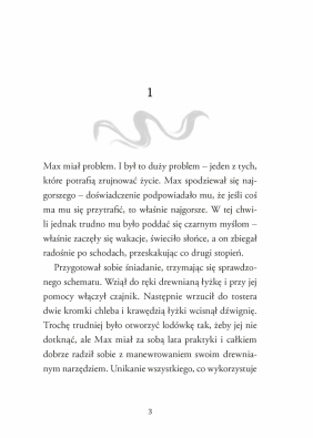 Strażniczka Wyjącego Zamku - Cat Grey