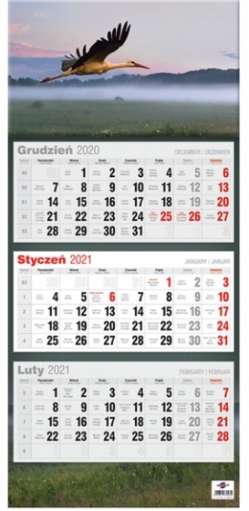 Kalendarz 2021 Trójdzielny płaski