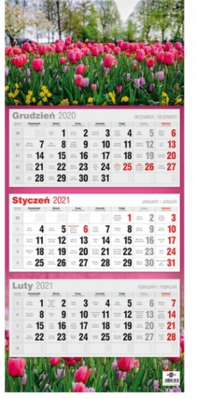 Kalendarz 2021 Trójdzielny płaski