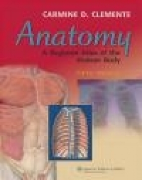 Anatomy