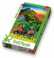 Puzzle 1000 mix Zachód słońca w Tatrach/ Stado koni (29103)