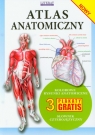 Atlas anatomiczny