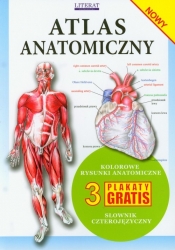 Atlas anatomiczny