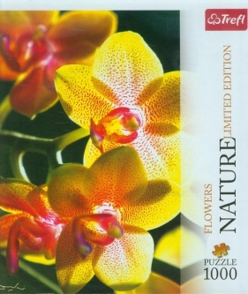 Puzzle 1000 Nature Orchidea (10503)