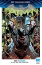 Batman. Upadek. Tom 11 - Tom King, Mikel Janin, Jorge Fornes