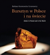 Bursztyn w Polsce i na świecie - Kosmowska-Ceranowicz Barbara