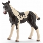 Schleich, łaciaty źrebak pinto (13803)