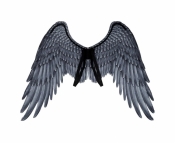 Skrzydła Archanioła czarne 95x75cm