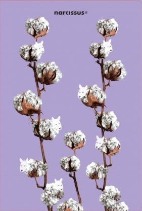 Teczka A4 Cotton