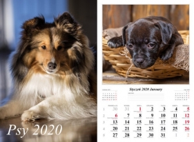 Kalendarz 2020 wieloplanszowy Psy