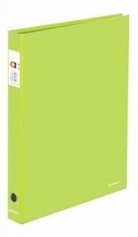 Segregator A4/2R zielony AMBAR