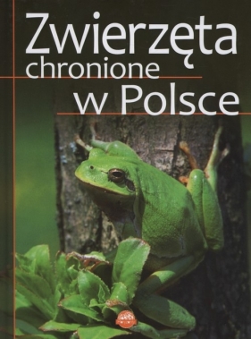 Zwierzęta chronione w Polsce - Weber Sylwia