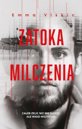 Zatoka milczenia - Emma Viskic