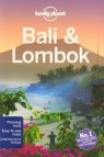 Bali and Lombok Ryan ver Berkmoes