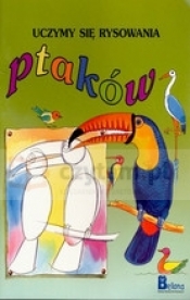 Uczymy się rysowania ptaków