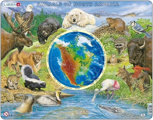 Puzzle Zwierzęta Ameryki Północnej