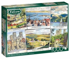 Puzzle 1000: Falcon - Piękna północ (11303)