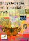 Encyklopedia multimedialna PWN '98-OEM