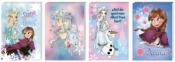 Notes A6/30K z poddrukiem Frozen (12szt)