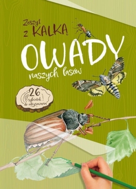 Owady naszych lasów Zeszyt z kalką - Kopiec-Sekieta Katarzyna