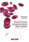 Praktyczna hematologia psów i kotów Mischke Reinhard