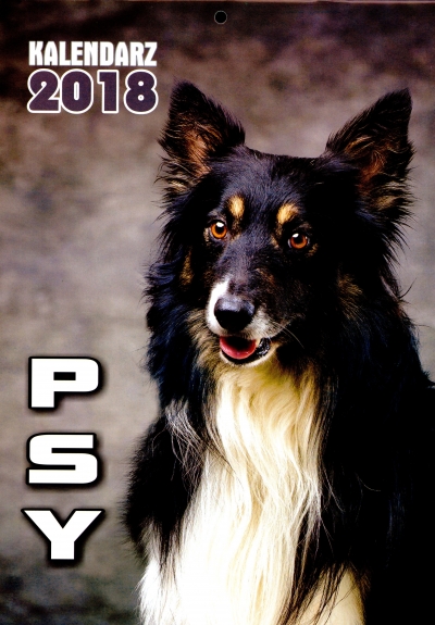 Kalendarz ścienny Psy 2018