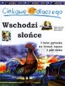 Ciekawe dlaczego wschodzi Słońce Brenda Walpole