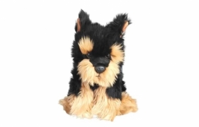 Pies morkie 30cm