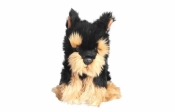 Pies morkie 30cm